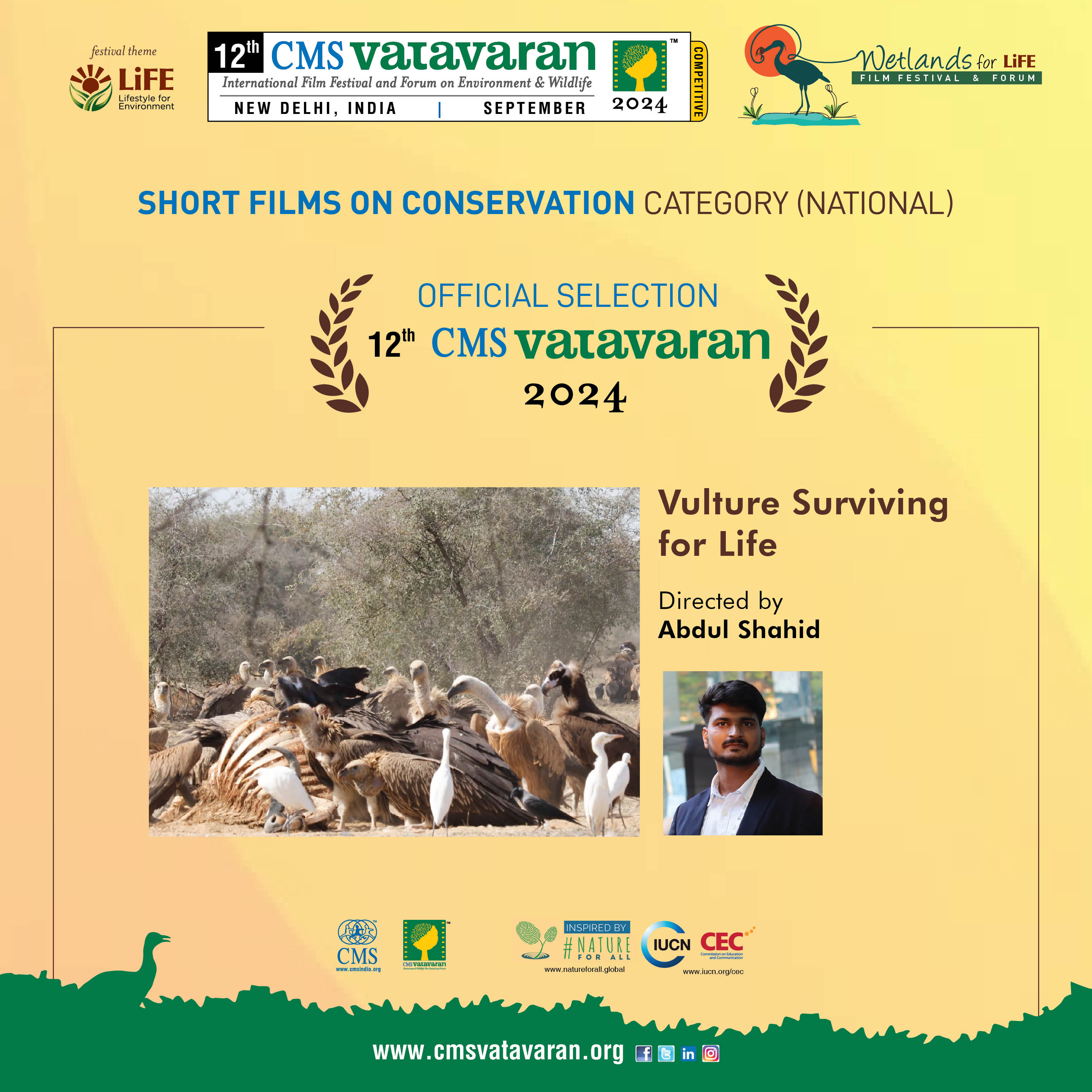 Vulture Surviving For Life
